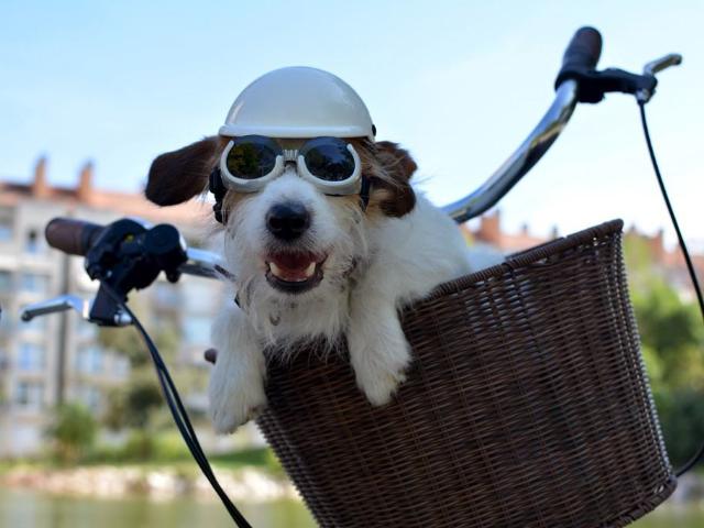 Apartment for rent in Winston Salem, North Carolina