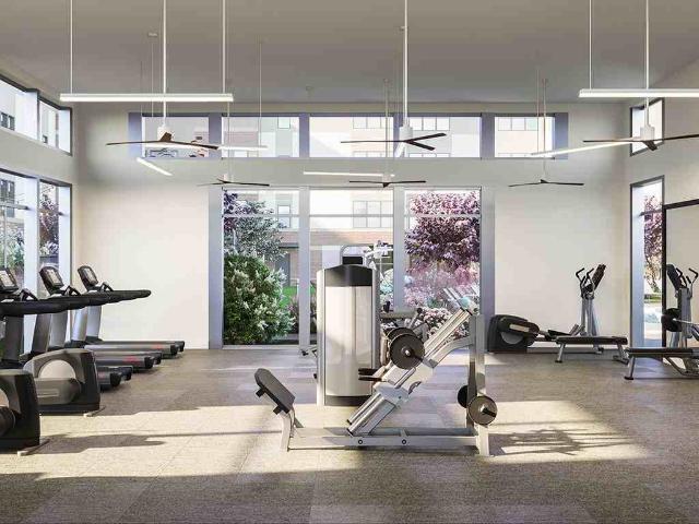 Apartment for rent in Chapel Hill, North Carolina