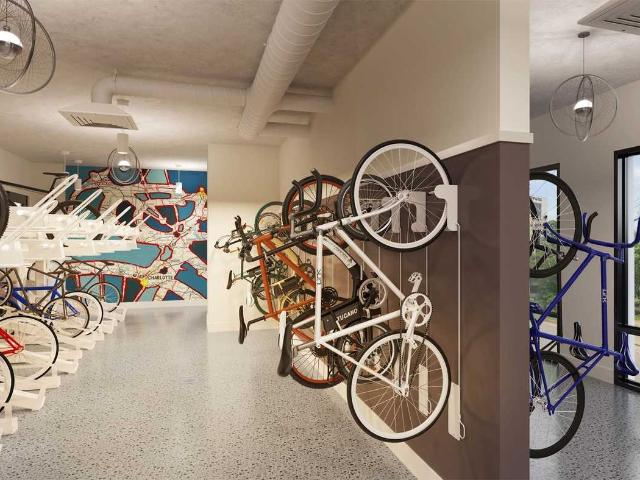 Apartment for rent in Charlotte, North Carolina