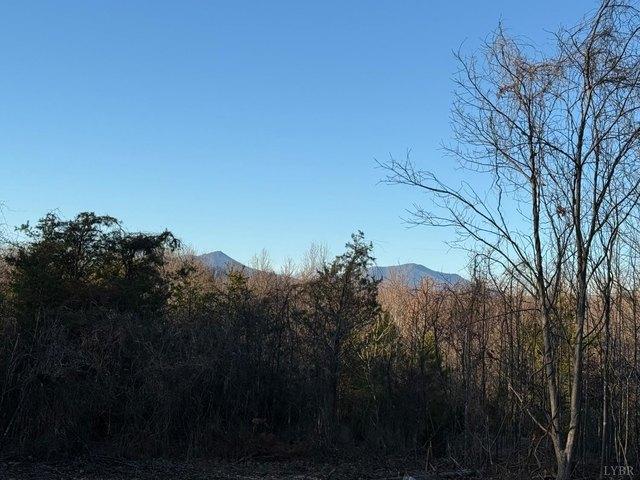 Land for sale in Virginia
