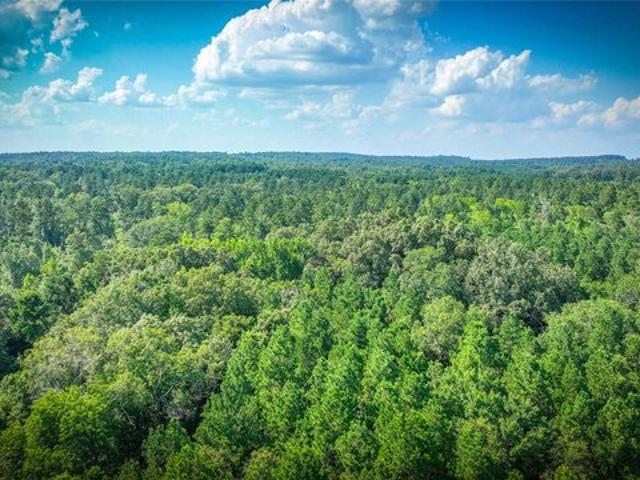 Land for sale in Garrison, Nacogdoches County