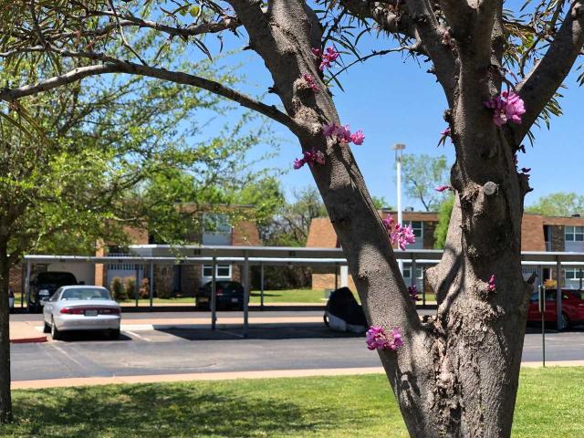 Apartment for rent in Wichita Falls, Texas