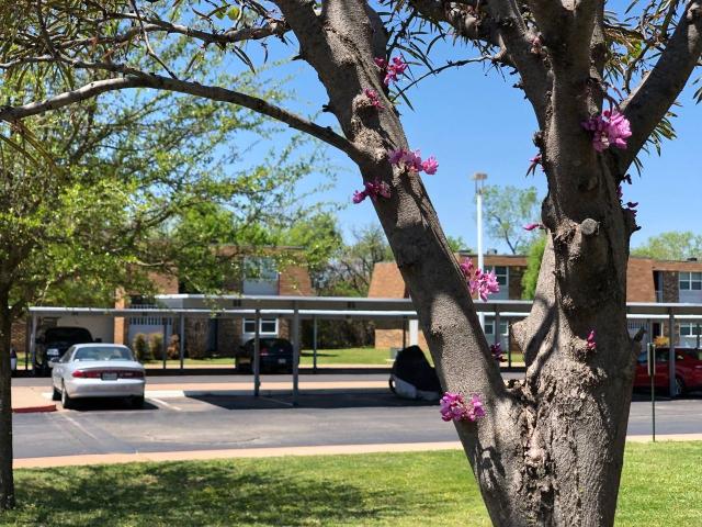Apartment for rent in Wichita Falls, Texas