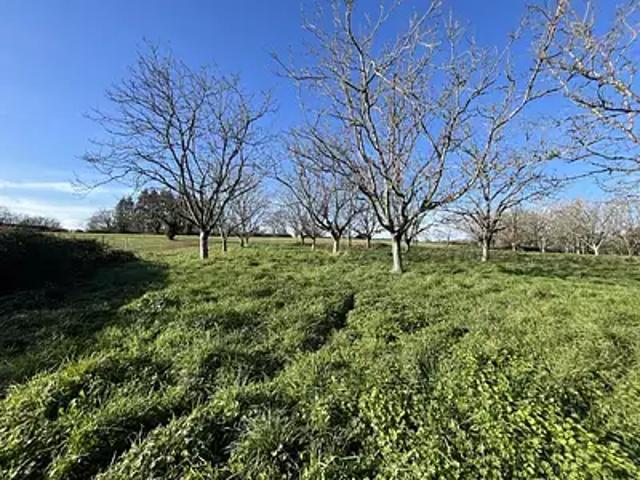 Terrain vente à Brive-la-Gaillarde, Liourdres