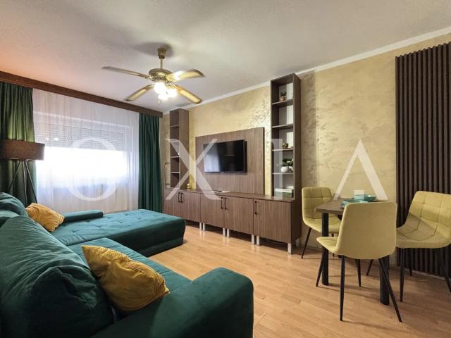 Apartament închirieri în Timisoara, Timiș