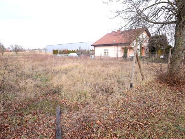 Grunt na sprzedaż w Złotkowo, Wielkopolskie