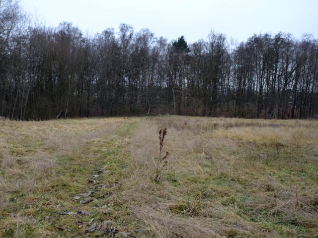 Grunt na sprzedaż w Czechowice-dziedzice, Śląskie