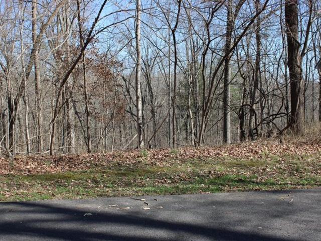 Land for sale in Eddyville, Lyon County