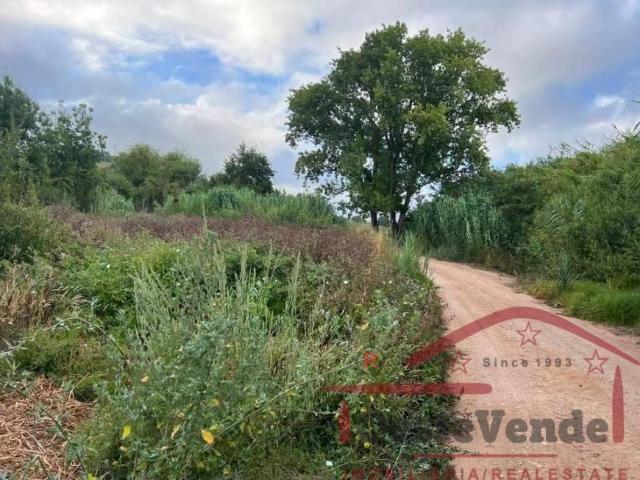Terreno venda em Cadaval, Pêro Moniz