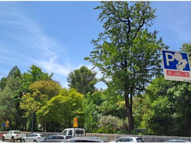 Loja venda em Avenidas Novas, Lisboa