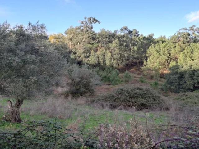 Terreno venda em Santiago Dos Velhos, Lisboa