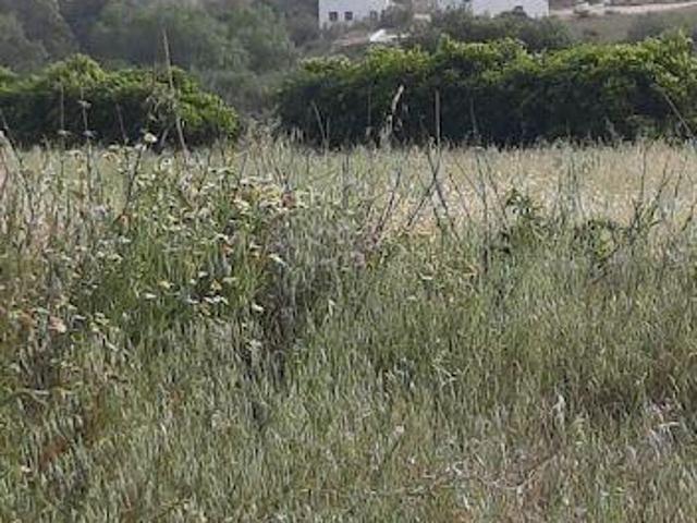 Terreno venda em Santo Isidoro, Mafra