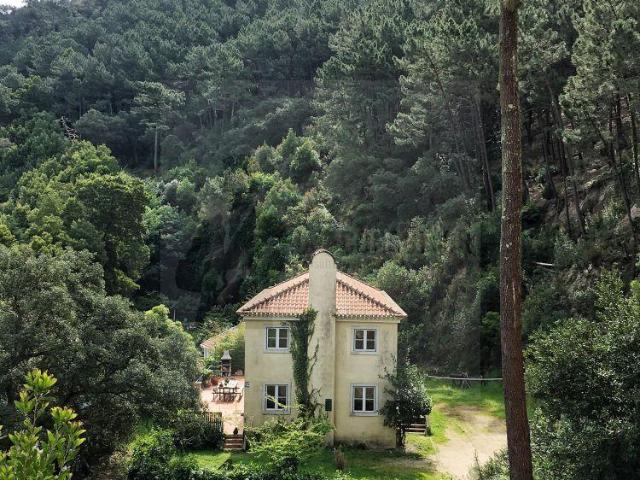 Apartamento alugar em Sintra, Lisboa