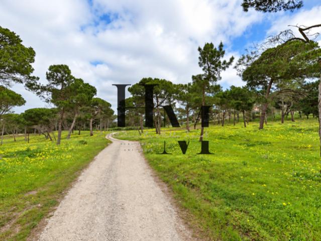 Terreno venda em Colares, Lisboa