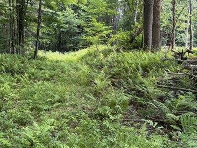 Land for sale in New Hampshire