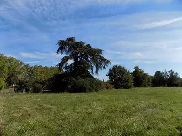 Terrain vente à Mirande, L'isle-de-noé
