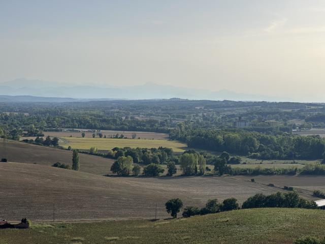 Château vente à L'Isle-en-Dodon, Haute-Garonne