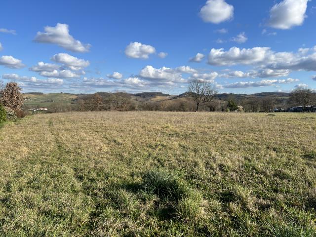 Terrain vente à Saint-Gaudens, L'isle-en-dodon