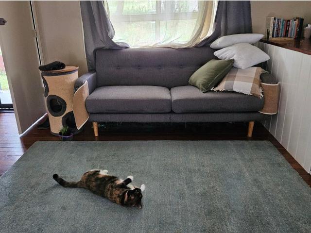 Room for rent in Blakebrook, New South Wales