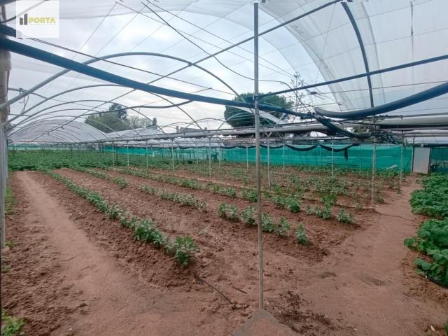 Terreno en venta en Pastrana, Costa Noroeste