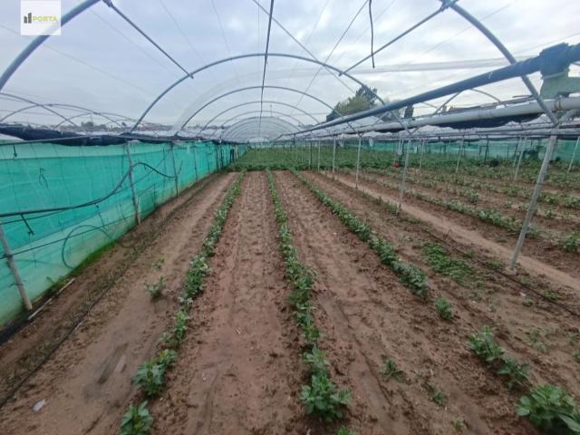 Terreno en venta en Pastrana, Costa Noroeste