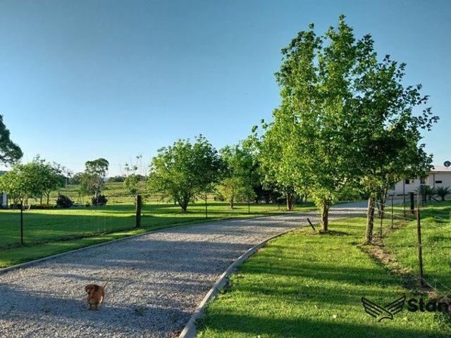Cottage for sale in Liston, New South Wales