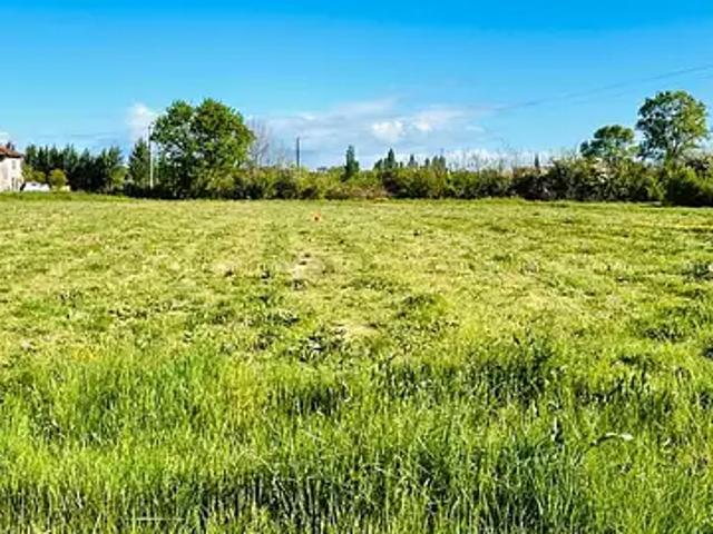 Terrain vente à Lesparre-Médoc, Listrac-médoc