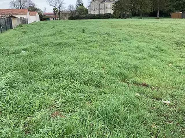 Terrain vente à Lesparre-Médoc, Listrac-médoc