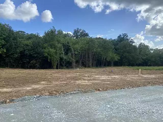 Terrain vente à Lesparre-Médoc, Listrac-médoc