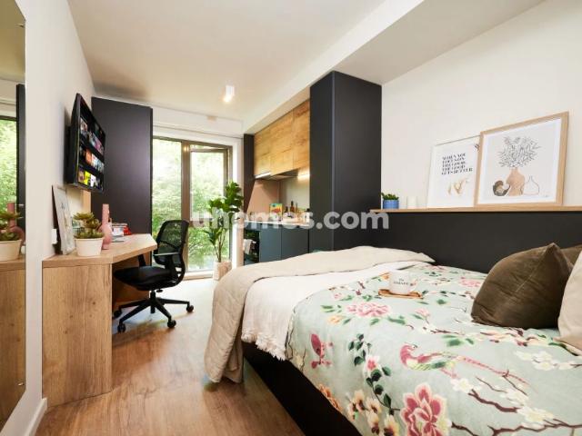 Studio for rent in Cannon Park, West Midlands