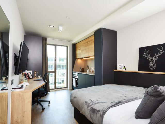 Apartment for rent in The Meadows, Haddon