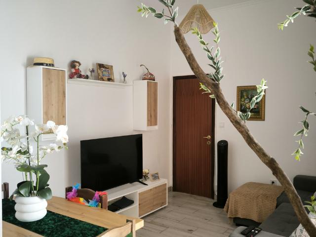 Apartamento alugar em Funchal, Ilha Da Madeira