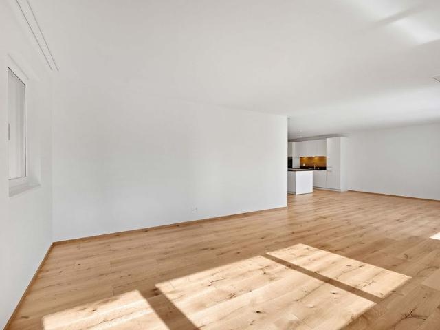 Apartment mieten in Oberriet (SG), St. Gallen