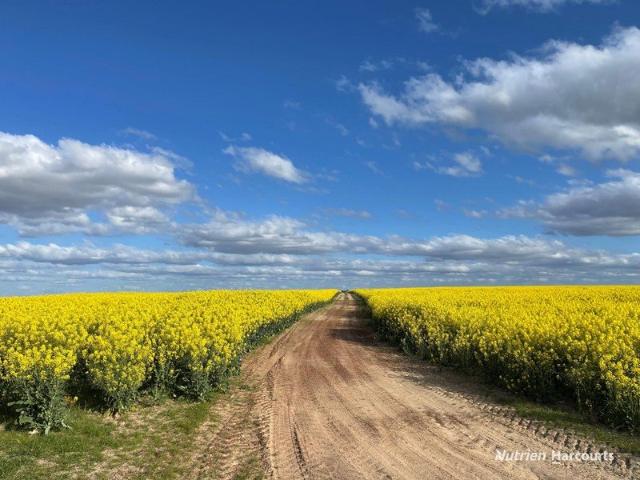 Property for sale in Eganu, Western Australia