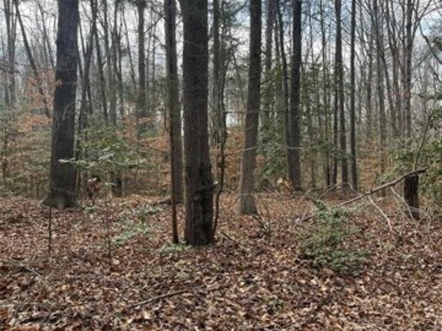 Land for sale in Woodford Land for sale in Woodford