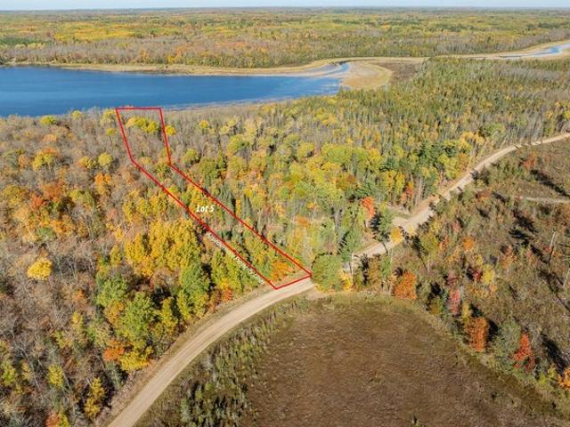 Land for sale in Remer, Cass County