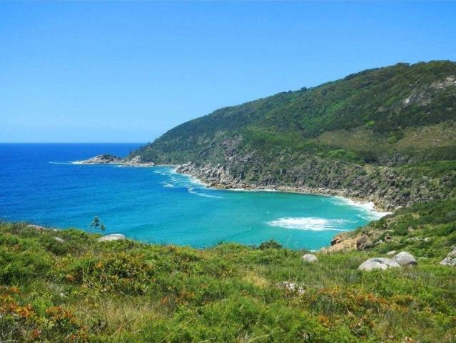 Apartment for rent in Little Bay
