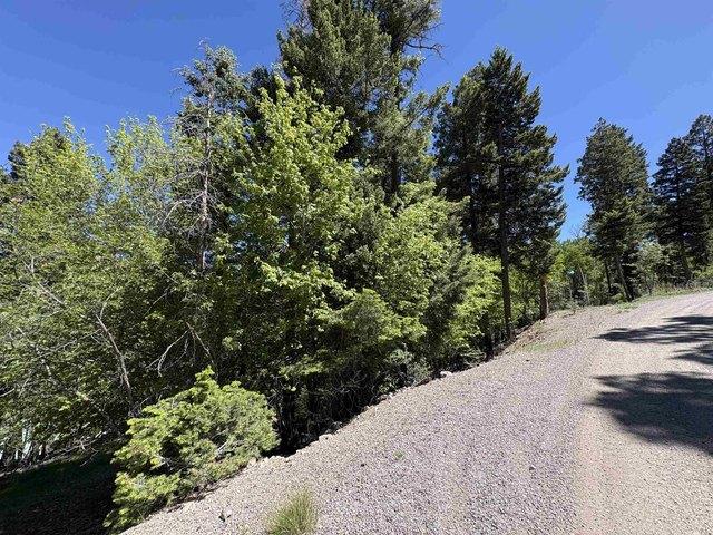 Land for sale in Cloudcroft, New Mexico