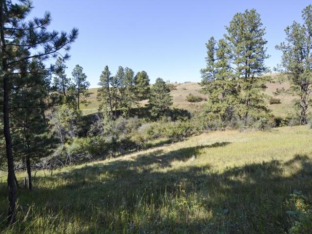 Land for sale in Lewistown, Montana