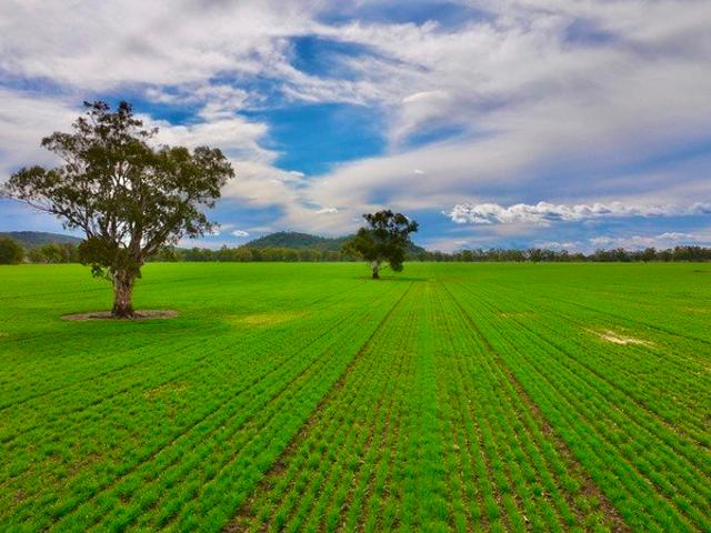Acreage for sale in Baan Baa, New South Wales