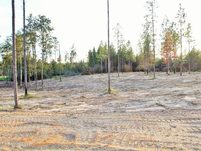 Land for sale in Lucedale, George County