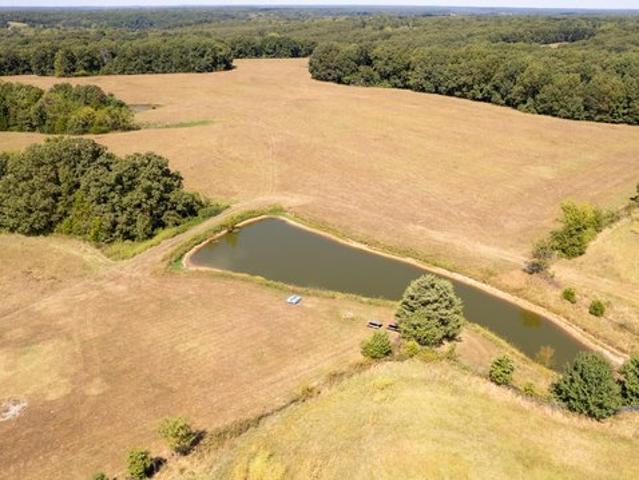 Land for sale in Fordland, Missouri