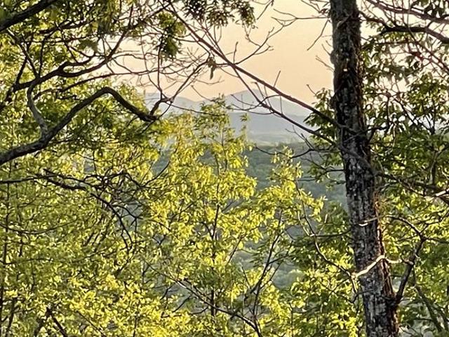 Land for sale in Clarkesville, Habersham County