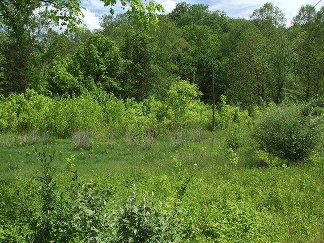 Land for sale in Warfield, Kentucky