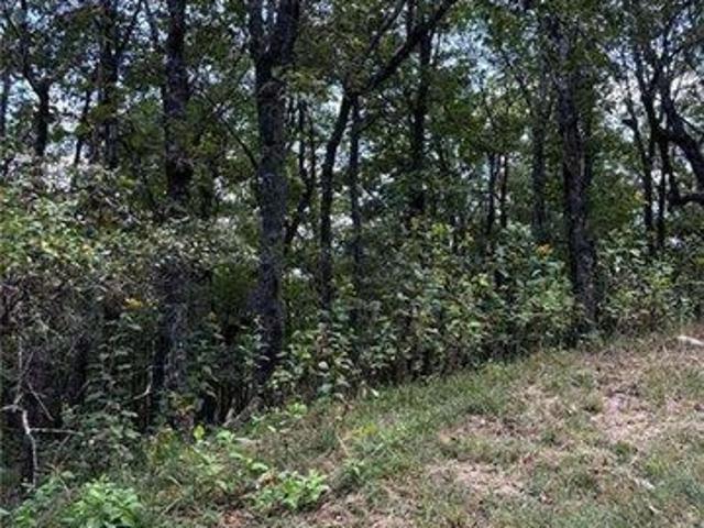 Land for sale in Pickens, Georgia