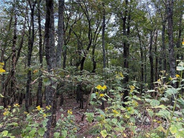 Land for sale in Pickens, Georgia