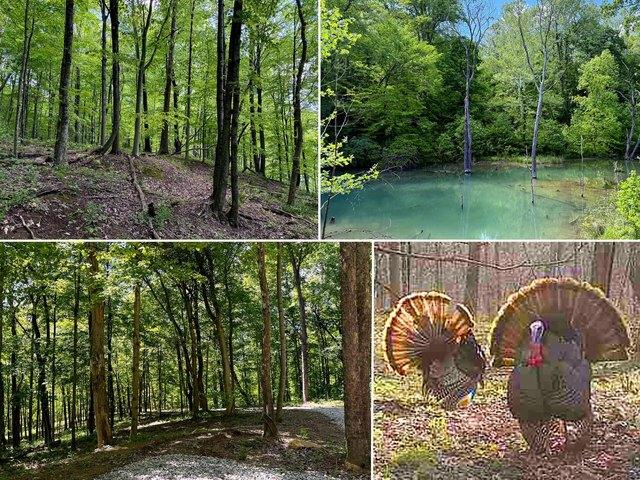 Land for sale in Ohio