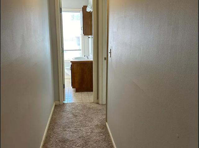 Apartment for rent in Starkville