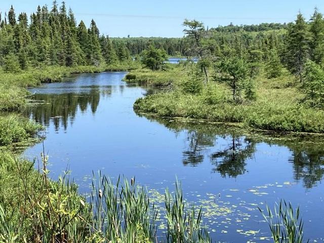 Land for sale in Minnesota