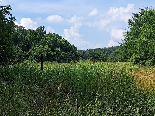 Land for sale in Granby, Missouri
